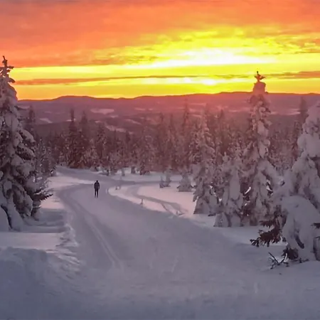 In With Wifi Lillehammer